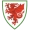 logo Wales U-19