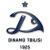 logo Dinamo Tbilissi