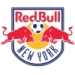 logo New York Red Bulls