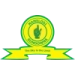 logo Mamelodi Sundowns