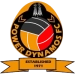 logo Power Dynamos