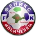 logo Feniks-Illichivets