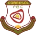 logo Cobresol