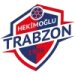 logo Hekimoglu
