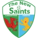 logo The New Saints