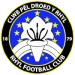 logo Rhyl