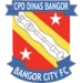 logo Bangor City