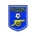 logo Tulle FC