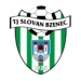 logo Slovan Bzenec