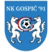 logo Gospic'91