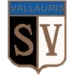 logo Vallauris