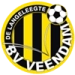 logo Veendam