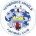 logo Tonbridge Angels