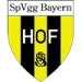 logo Bayern Hof