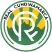 logo Real Cundinamarca