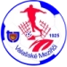 logo Valasské Mezirici