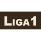 photo Liga I