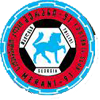 logo Merani-91 Tbilissi