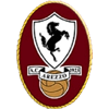 logo Arezzo