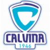 logo Calvina Sport