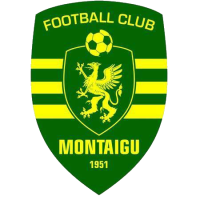 logo Montaigu