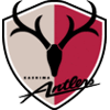 logo Kashima Antlers