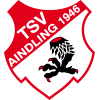 logo Aindling