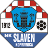 logo Slaven Belupo