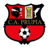 logo Propriano