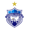 logo Alianza Porvenir-Unicachi