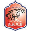 logo Xinjiang Tianshan Leopard