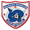 logo Ballenas Galeana
