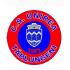 logo Unirea Tarlungeni