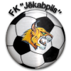 logo Jekabpils/JSC