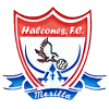 logo Halcones