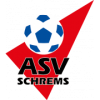 logo Schrems