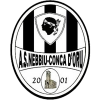 logo Nebbiu