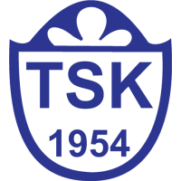 logo Tuzlaspor