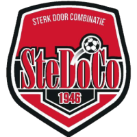 logo SteDoCo