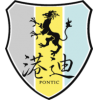 logo Pontic