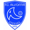 logo Steinsel