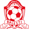 logo International Balesti