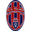 logo Felino
