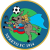 logo Nereto FC