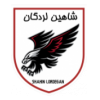 logo Shahin Lordegan