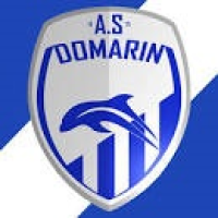 logo Domarin