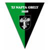 logo Nafta Gbely