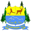 logo Lonestar Kashmir
