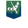 logo Minas/ICESP