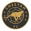 logo Cheetah